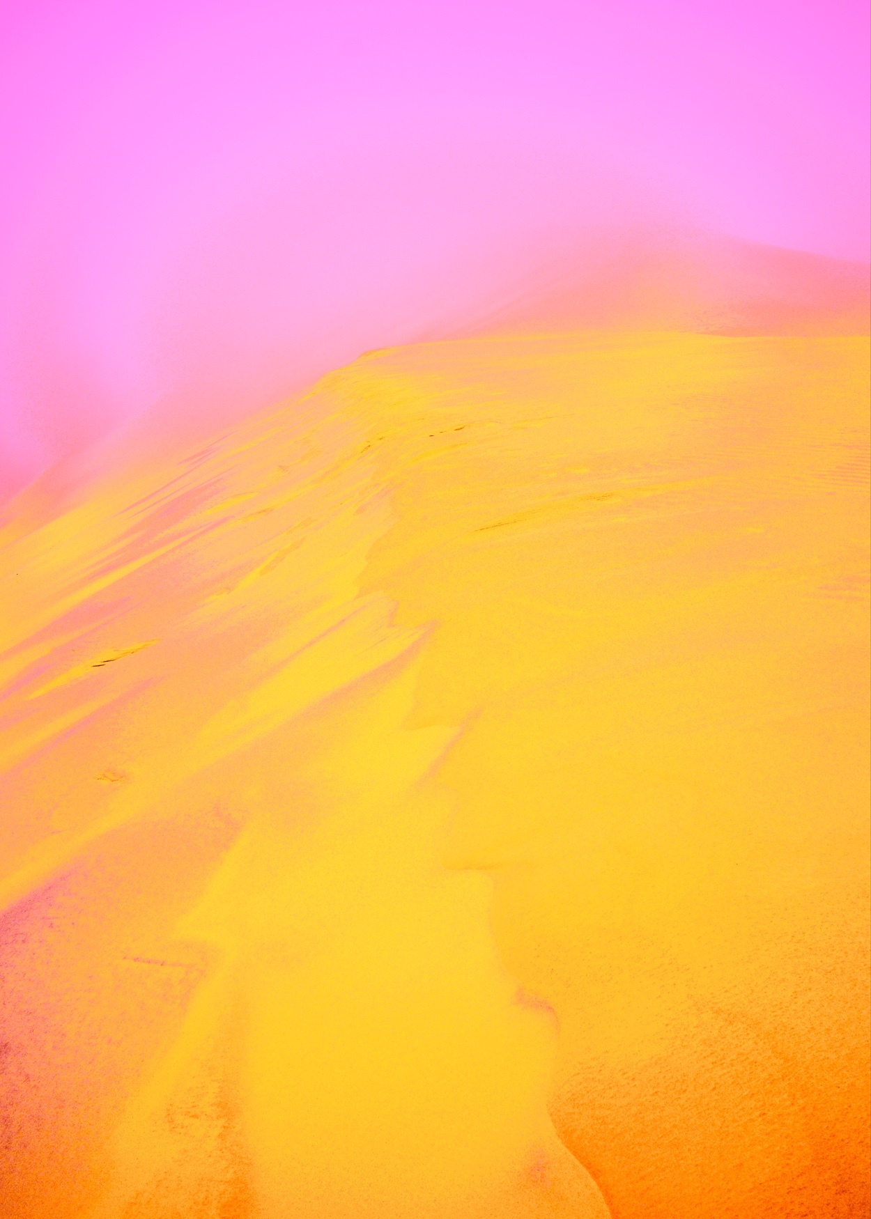 Dune dorée I